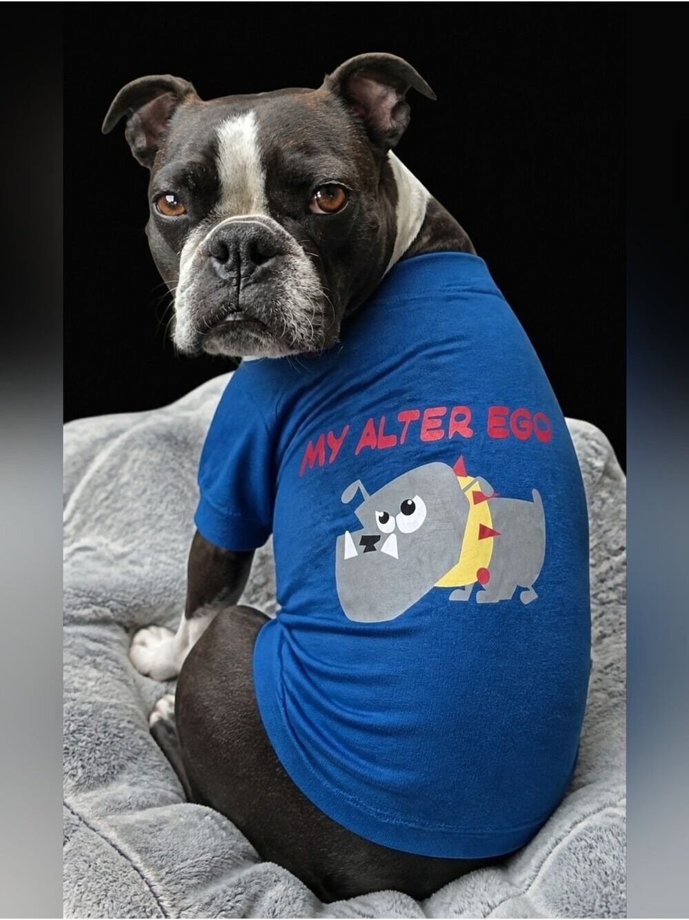Blue Dog Tee My Alter Ego Cartoon Graphic Medium #DGC17